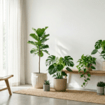 🌿 Por qué se mueren tus plantas (y cómo evitarlo desde hoy)